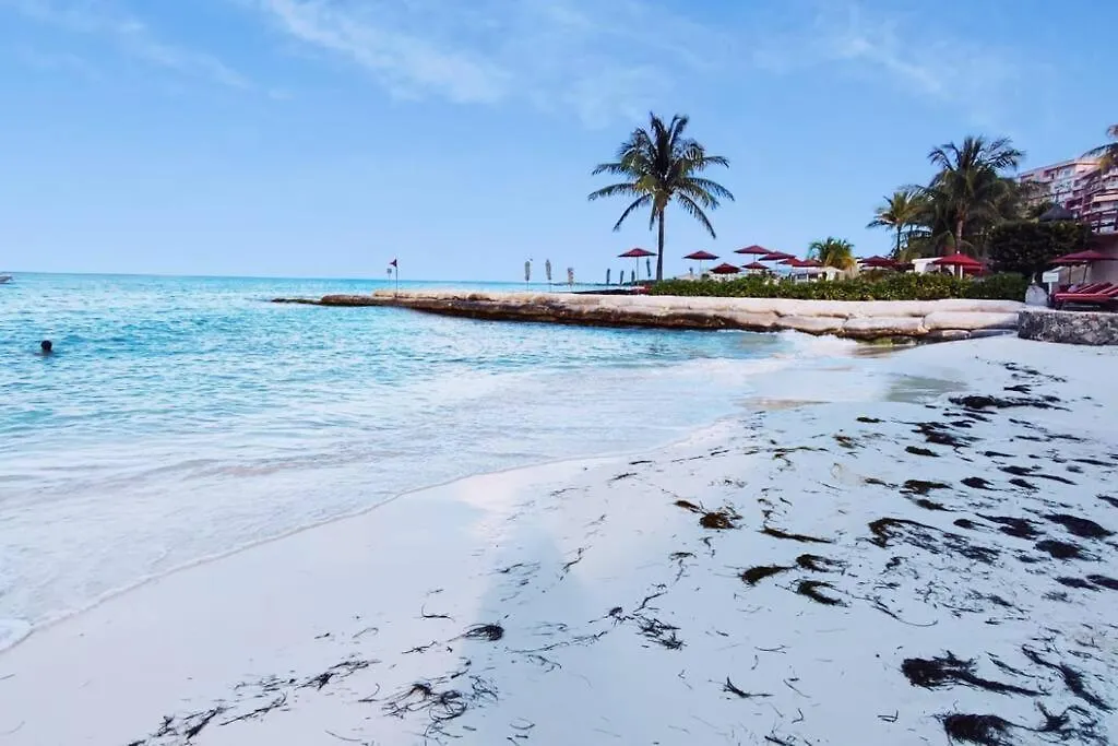 Studio Caribe 17 Cancún Apartamento